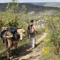 Adodane, Lauzerte
