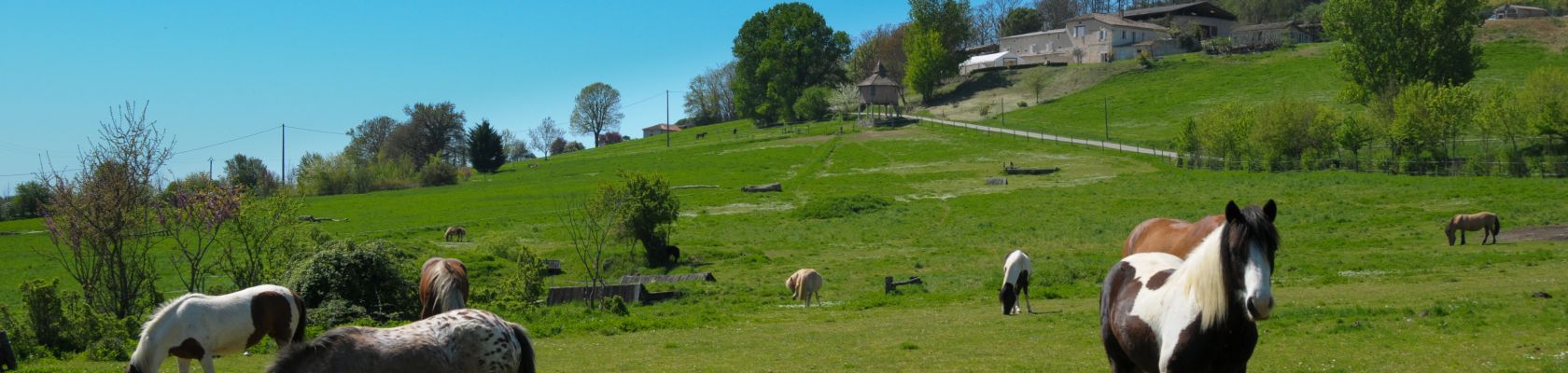 Gîte d'étape et de Séjour du Domaine équestre de Lauzerte