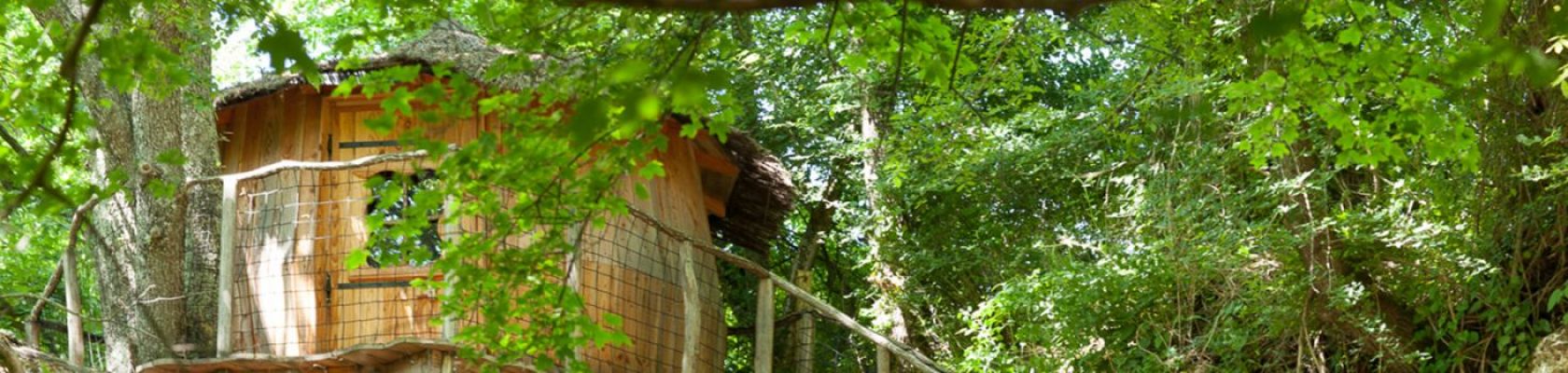 Cabane dans les arbres