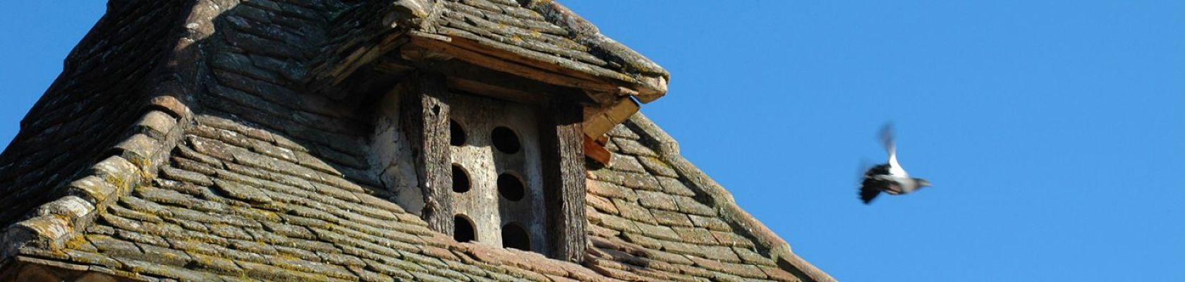 Pigeonnier Pigeonnier