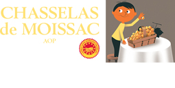 Site officiel du Chasselas de Moissac